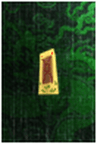 Picture43.png